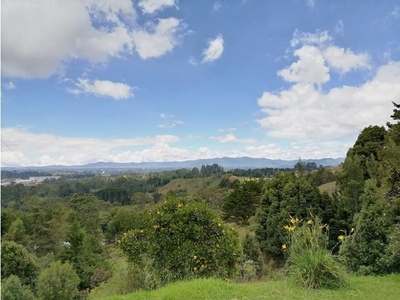 Terreno / Solar de 44000 m2 - Rionegro, Departamento de Antioquia