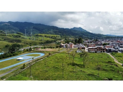 Terreno / Solar de 11950 m2 - Santa Rosa de Cabal, Colombia