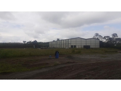 Terreno / Solar de 18000 m2 en venta - La Tebaida, Quindío Department