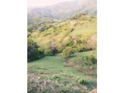 Terreno / Solar de 18206 m2 - San Jerónimo, Departamento de Antioquia