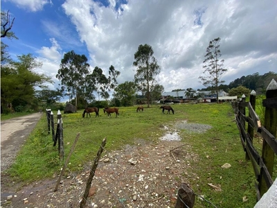 Terreno / Solar de 22000 m2 - Guarne, Colombia