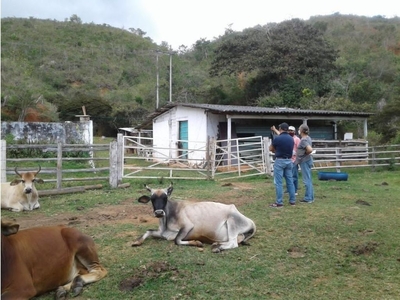 Terreno / Solar de 241500 m2 en venta - Cali, Departamento del Valle del Cauca