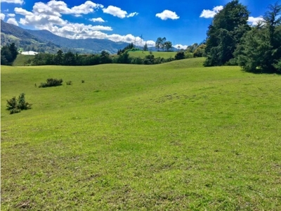 Terreno / Solar de 256000 m2 - Rionegro, Colombia