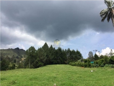 Terreno / Solar en venta - Rionegro, Departamento de Antioquia