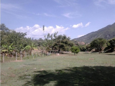 Terreno / Solar de 320000 m2 - Santa Fe de Antioquia, Departamento de Antioquia