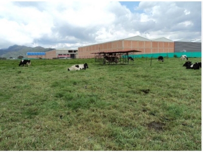 Terreno / Solar de 320080 m2 en venta - Cota, Cundinamarca