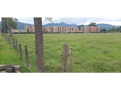 Terreno / Solar de 40000 m2 en venta - La Ceja, Departamento de Antioquia