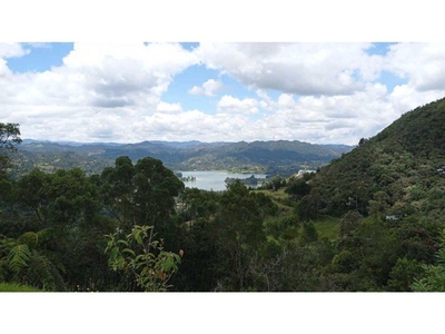Terreno / Solar de 40000 m2 en venta - Rionegro, Departamento de Antioquia