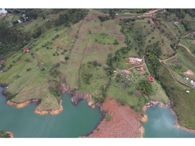 Terreno / Solar de 40000 m2 - Guatapé, Departamento de Antioquia