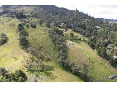 Terreno / Solar de 50000 m2 en venta - Rionegro, Departamento de Antioquia