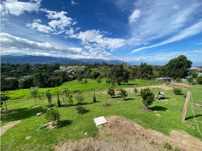 Terreno / Solar - Circasia, Colombia