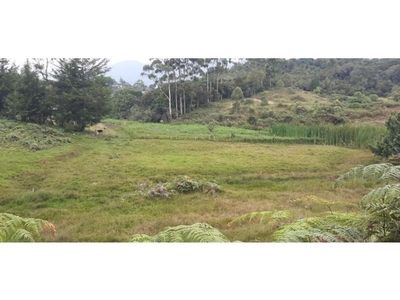 Terreno / Solar en venta - Carmen de Viboral, Departamento de Antioquia