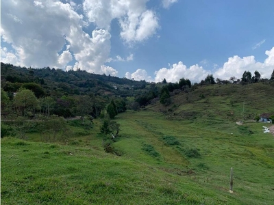 Terreno / Solar de 65556 m2 en venta - Guarne, Departamento de Antioquia