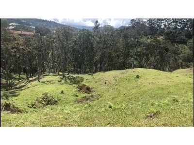 Terreno / Solar de 67783 m2 - Rionegro, Colombia