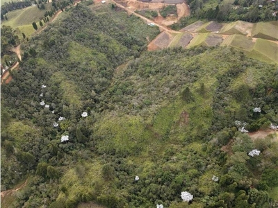 Terreno / Solar de 73686 m2 en venta - Guarne, Departamento de Antioquia