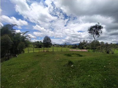 Terreno / Solar de 80000 m2 en venta - Rionegro, Departamento de Antioquia