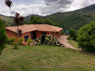 Finca en Venta