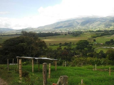 Finca en Venta en Darién, Valle del Cauca