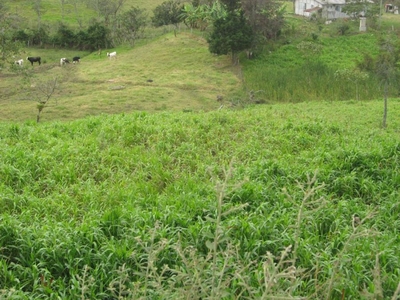 Finca en Venta en Pacho, Cundinamarca