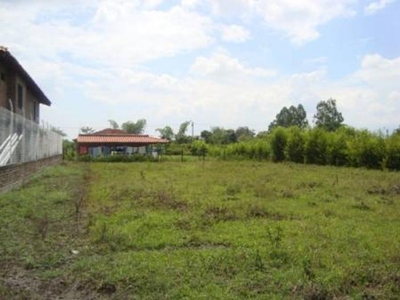 Lote en Venta en Parcelación El llanito, Tuluá, Valle del Cauca