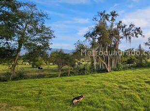 Finca en Venta, Neusa