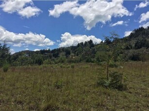 Terreno / Solar - Rionegro, Colombia