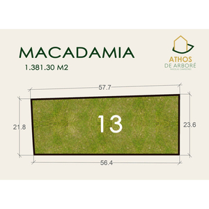 (#13 Macadamia) - Parcelas De Estilo Campestre Athos De Arbore