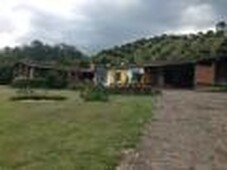 Finca en Venta en Vereda El Molino, Guarne, Antioquia