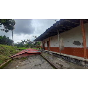 Se Vende Finca En Quimbaya - Quindío