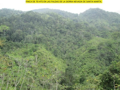 Finca en Venta en FALDAS DE LA SIERRA NEVADA DE SANTA MARTA., Santa Marta, Magdalena