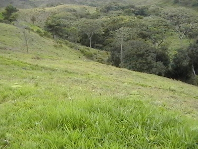 Finca en Venta en san antonio Jamundi, Jamundí, Valle del Cauca