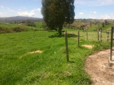 Finca en Venta en Santa Rosa de Osos, Antioquia