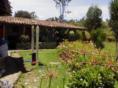 Finca en Venta en Vereda el Sabanazo, Santa Rosa de Osos, Antioquia
