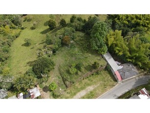 Terreno / Solar en venta - Salento, Colombia