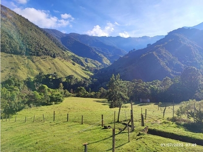 Cortijo de alto standing de 3000000 m2 en venta Ginebra, Departamento del Valle del Cauca