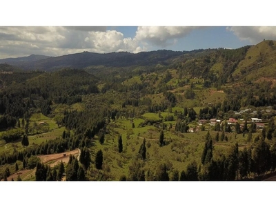 Terreno / Solar de 72614 m2 en venta - Guarne, Departamento de Antioquia