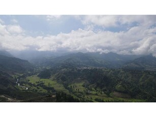 Terreno / Solar en venta - Salento, Colombia