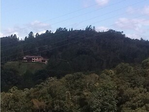 Terreno / Solar - Envigado, Departamento de Antioquia