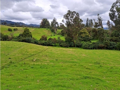 Cortijo de alto standing de 109953 m2 en venta Cogua, Cundinamarca