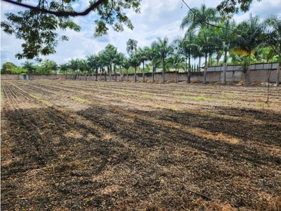 Terreno / Solar de 10000 m2 en venta - Palmira, Colombia