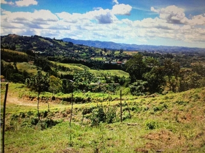 Terreno / Solar de 10000 m2 - Rionegro, Departamento de Antioquia