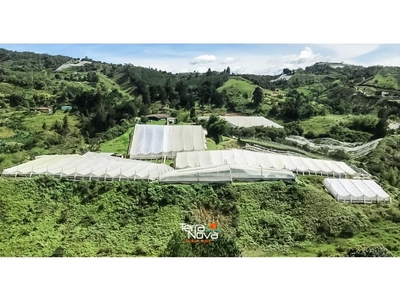 Terreno / Solar de 190000 m2 - El Peñol, Colombia