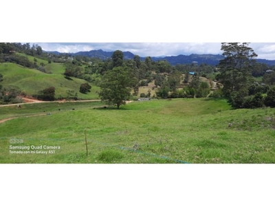 Terreno / Solar de 27530 m2 - Rionegro, Colombia