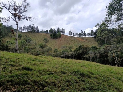 Terreno / Solar de 259000 m2 - Retiro, Departamento de Antioquia
