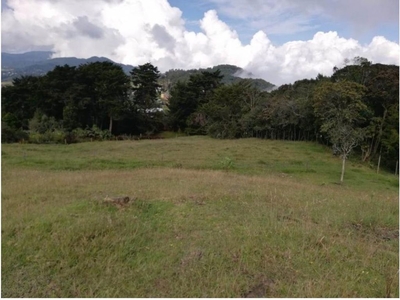 Terreno / Solar de 6695 m2 en venta - Envigado, Colombia