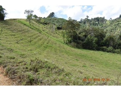 Terreno / Solar de 76000 m2 - Retiro, Departamento de Antioquia