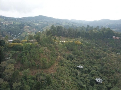 Terreno / Solar de 77400 m2 - Guarne, Departamento de Antioquia