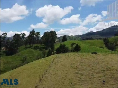 Terreno / Solar en venta - Bello, Colombia