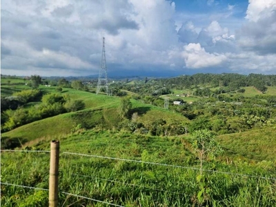 Terreno / Solar de 15 m2 en venta - Filandia, Quindío Department