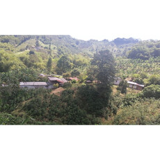 Vendo Finca Con Excelente Terreno Para Siembra